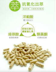 法國百合洋薊膠囊 Artichoke Extract Plus (90 capsules)