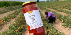 有機香辣蕃茄醬 Cal Valls Organic Spicy Tomato Sauce 350g