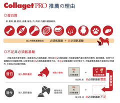 加強版犬貓膠原蛋白肽 Nippi Collaget®️PRO collagen for Dogs and Cats (120g)